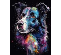 Diamond Art Painting Kits for Adults,Border Collie 5D DIY Full Round Drill Paint with Diamond Dots, Home Wall Decor 11.7 x 15.8 Inch