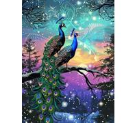 Diamond Art Painting Winter Diamond Art Kits Adults Peacock 5D Gem Crafts for Adults Full Accessories Mosaic Canvas Painting Kits for Kids Crystal Cross Stitch Christmas Decorations 16x20Inch T0-98