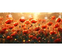 Diamond Art Poppy Diamond Painting Flower Dimond Art for Adults Beginner, 5D DIY Round Drill Hobbies for Adults Women, Embroidery Cross Stitch Gem Arts Crafts Kits for Home Wall Decor 80x160cm G6-819