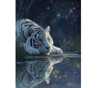 Diamond Art Starry Sky Diamond Painting 40x50cm Tiger Square Full Drill Crystal Art Kits 5D DIY Canvas Sequin Arts and Crafts for Adults Accessories Paint by Numbers for Wall Decor Gifts for Women S-3