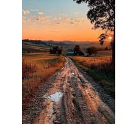 Diamond Art Sunset, Field 5D Diamond Painting Kits, Full Drill Crystal Art Pictures for Adults Beginners, DIY Cross Stitch Kits for Adults, Gifts for Women, Autumn Decor, Dedroom Decor, 20x28in A-4562