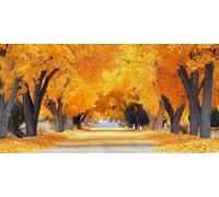 Diamond Art tree， autumn Diamond Painting Kit Adults， DIY Full Drill Crystal Art Mosaic Craft Set， 5D Gem Cross EmBroidery Art Accessory Adult Beginners， Home Furnishing Wall Decoration 40x20cm T-z889