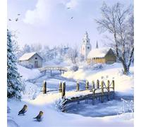 Diamond Art Winter Diamond Painting Kits for Adults Kids Beginner, 5D Full Drill Crystal Art Kits on Canvas Painting Pictures Landscape, Crystal Mosaic Craft for Stress Relief Gifts 30x30cm FX#110