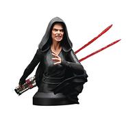 Gentle Giant Star Wars The Rise Of Skywalker Evil Rey 1/6 Scale Bust (NYCC 2021 Exclusive)