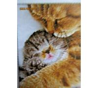 Diamond Dotz - Diamond Painting Kit - Bengal Magic 36 x 42cm Tiger