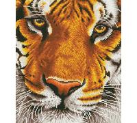 Diamond Dotz Diamond Painting Kit Bengal Magic