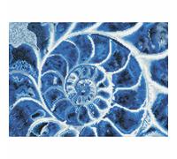Diamond Dotz Diamond Painting Kit - Blue Nautilus