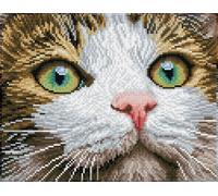 Diamond Dotz Diamond Painting Kit Green Eyed Beauty