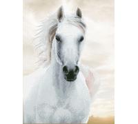 Diamond Dotz Diamond Painting Kit: Imperial Stallion