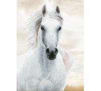 Diamond Dotz Diamond Painting Kit Imperial Stallion DD10 Intermediate 65 x 48 cm