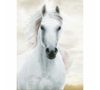 Diamond Dotz - Diamond Painting Kit - Imperial Stallion Design - Intermediate