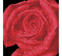 Diamond Dotz Diamond Painting Kit Rose Dew