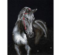DIAMOND DOTZ DD10 Intermediate Kit, Midnight Stallion, 53 x 42 cm