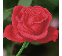 Diamond Dotz - Diamond Painting Kit - Rose Bud