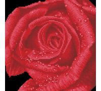 Diamond Dotz Diamond Painting Kit: Rose Dew