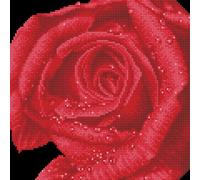 Diamond Dotz Diamond Painting Kit Rose Dew