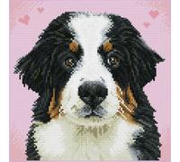 Diamond Dotz Squares - Hello to ZUZU - Dog - Crafts - Gifts - Make - Create