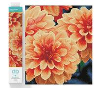 DIAMOND DOTZ DQ9 Intermediate Kit, Colourful, 45 x 35cm