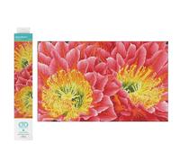 DIAMOND DOTZ DQ9 Intermediate Kit, Colourful, 52 x 32cm