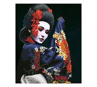 Diamond Dotz Kit Intermediate Kyoto Beauty