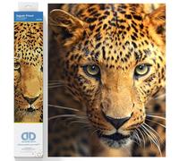 DIAMOND DOTZ Painting, Beginner Kit, Jaguar Prowl, 27.5 x 35.5cm