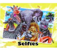 DIAMOND DOTZ Painting, Beginner Kit, Resin, Assorted, 97x77cm