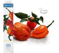 DIAMOND DOTZ Painting, Intermediate Kit DD5, Pepper Bon Appetit, 30.5 x 30.5cm