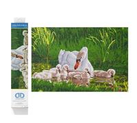 Diamond Dotz Painting Kit - Mother Swan & Signets DD12 - Intermediate - 62 x 41 cm - DD12.058
