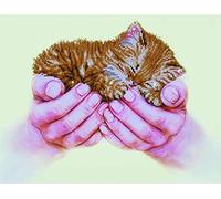 Diamond Dotz - Diamond Painting Kit - Precious Kitten 52 x 40cm