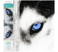DIAMOND DOTZ Squares DQ7 Intermediate Kit, Colourful, 10.24" x 7.99"