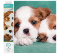 DIAMOND DOTZ Squares DQ8 Intermediate Kit Colourful