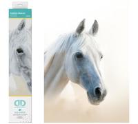 DIAMOND DOTZ Squares DQ8 Intermediate Kit Colourful