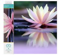 DIAMOND DOTZ Seerose Squares DQ8 Intermediate Kit, Reflections, 41 x 31cm