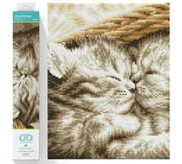 DIAMOND DOTZ Squares DQ8 Intermediate Kit Colourful