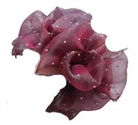 Diamond-Embedded Yarn Hair Band Golden Edge Head Rope Pure Color All-Matching High Elastic Seamless Big Scrunchies for Women(Lotus root color-1)