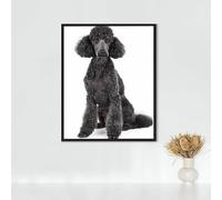 Diamond Painting Animal Diamond Art Kits Adults, Dog Full Drill Crystal Art Kits for Adults Beginners, Cross Stitch Embroidery Crafts Pictures, for Home Wall Decor, Gifts for Women 12x16 inch PJY9 T-8