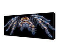 Diamond Painting Animal Spider Diamond Art Accessories, Large Dimond Art for Adults Kits, 5D DIY Full Drill Kids Embroidery Painting, Beginner Crystal Crafts Kits, Wall Home Decor Gifts 40x80cm J-263