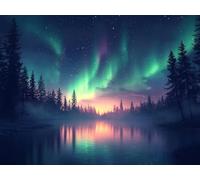 Diamond Painting Art, Plant 5D Crystal Diamond Art Painting Full Kits for Home Office Decor, DIY Gem Cross Stitch Kits, Gift for Women, Includes Professional Tool Kit 50x60cm Aurora Borealis qo-974
