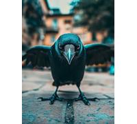 Diamond Painting Bird Diamond Art Kits Adults, Animal Crystal Art Kit for Adults Kids DIY Round Full Drill Gem Dots Embroidery Crafts Picture Beginners, Gifts for Women, Home Wall Decor 50x70cm q9-R61