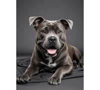 Diamond Painting Black Staffordshire Bull Terrier 5D Diamond Art DIY Kits Full Round Drill Crystal by Number Embroidery Arts and Crafts for Living Room Home Wall Decor 12x16 inch / 30x40cm