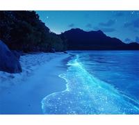 Diamond Painting Blue Diamond Art Kits Adults, 5D Beach Crystal Art and Crafts Kit for Beginner, DIY Full Drill Cross Stitch Embroidery Sequin Gem Paintings, for Home Wall Decor Gifts 24x32inch K-3288