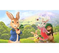 Diamond Painting by Numbers Kits Peter Bunny Rabbit DIY 5D Full Drill Large Size Embroidery Diamond Art Craft Adults Kids Handmade Paste Crystal Rhinestone for Home Wall Decor 30x40cm