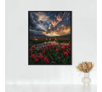 Diamond Painting Cat Diamond Art Kits Adults, Tulip Full Drill Crystal Art Kits for Adults Beginners, Cross Stitch Embroidery Crafts Pictures, for Home Wall Decor, Gifts for Women 32x44 inch PJY9 7-0