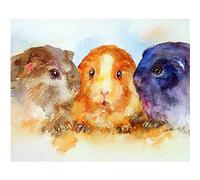 Diamond Painting, Cute Guinea Pig 5D DIY Diamond Art Kits for Kids Adults, Full Drill Crystal Rhinestone Embroidery Art Crafts, Painting by Numbers Canvas Kit for Home Wall Decor Gifts20x30cm
