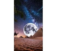 Diamond Painting Desert Moon Landscape,5D DIY Diamond Art Kits for Adults Beginners,Diamond Painting Kit Round Drill Full Drill Crystal Gem Arts Picture for Home Wall Decor 30x70 cm