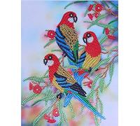 Diamond Painting DIY 5D Special Shape Rhinestones, ABEUTY Colored Birds On The Branch, Partial Drill Crystal Diamond Art Kits