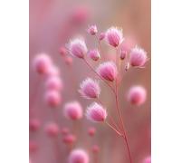 Diamond Painting Flower Diamond Art Kits Adults, Flower Crystal Art Kit for Adults Kids DIY 5D Round Full Drill Gem Dots Rhinestone Embroidery Crafts Picture, Home Wall Decor Gifts 50x70cm t9-111