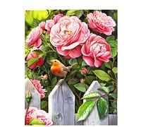Diamond Painting Flowers Birds Diamond Art for Adults, Paint By Numbers Embroidery Kits Full Drill 30x40cm/12x16in, DIY 5D Diamond Pictures Kids, Diamond Dots Gem Crystal Art Craft Home Decor Gifts