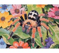 Diamond Painting Flowers, Spider Diamond Art Kits Adults, DIY Beginner Full Drill Gem Art Set 5D Crystal Embroidery Canvas Mosaic Kits for Adults Home Wall Decor, Gifts for Women 18x24inch, Model231