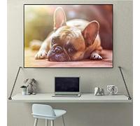 Diamond Painting French Bulldog, 5D Diamond Painting Full Kits Diamond Art for Adults, 30x40cm Cross Stitch Gifts Kits for Adults Kids Dimond Picture Art Craft Supplies, Home Decor Crystal Art